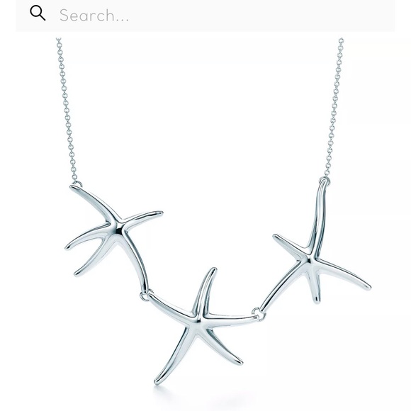 Tiffany & Co. Jewelry - CURRENT $2200 Tiffany & Co. Sterling Silver Necklace—authentic